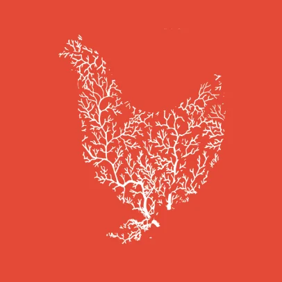 illustration poulet Bio Garden Co-lor graphiste freelance