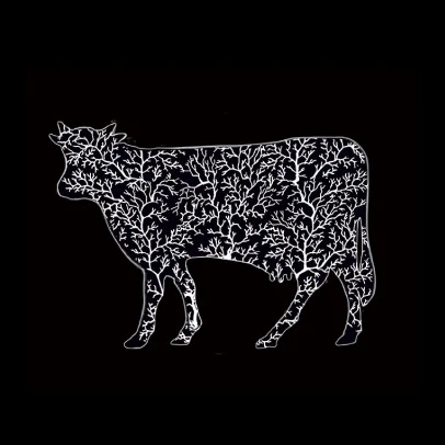 illustration vache Bio marque Garden Co-Lor graphiste freelance