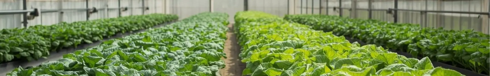 Co-Lor conçoit des sites web responsives pour tous les formats PC tablette et mobile comme celui de Fringuettes et compagnie à Nort-sur-Erdre